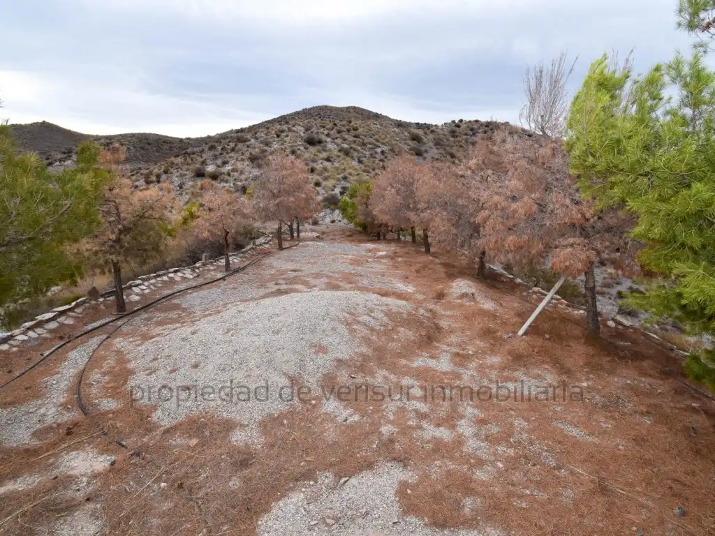 Casa rústica amb jardí en venda a Tébar - Los Arejos, imagen 25
