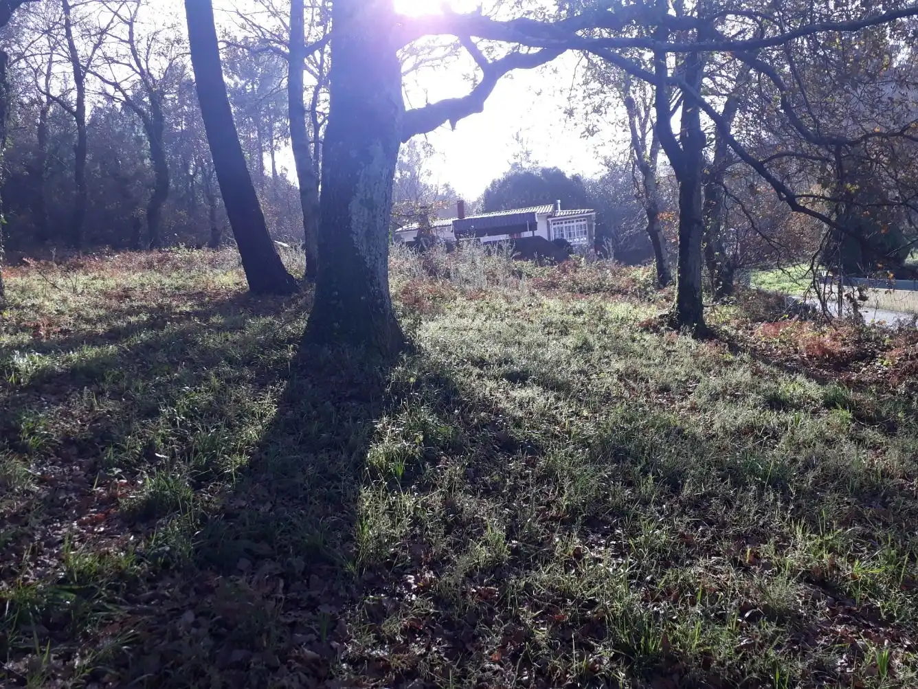 Residential land for sale in Nós