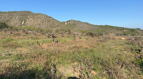 Terreno en venta en Albinyana, imatge 5