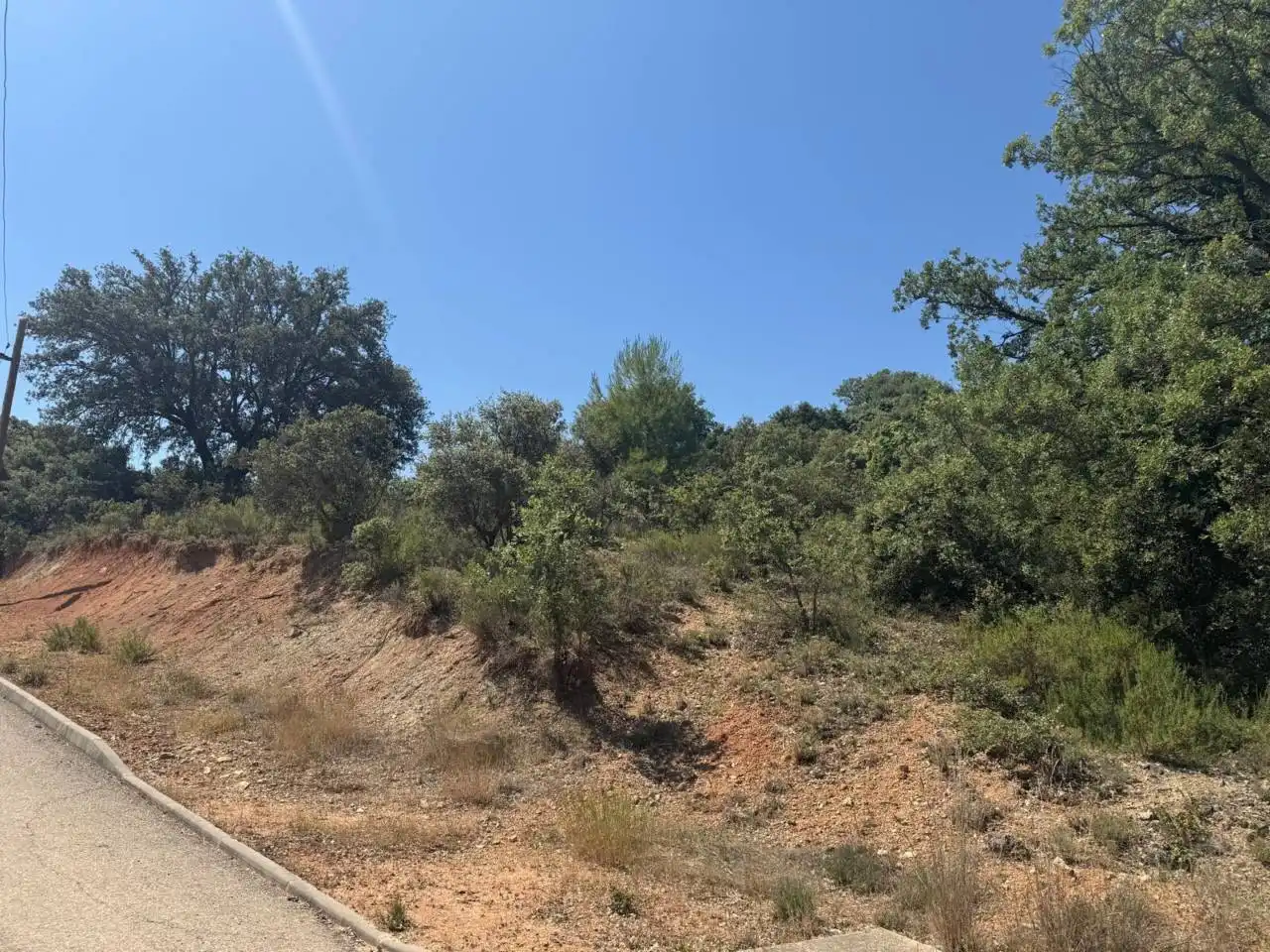 Terrenos y solares en venta en Camino Palmeras, imagen 13