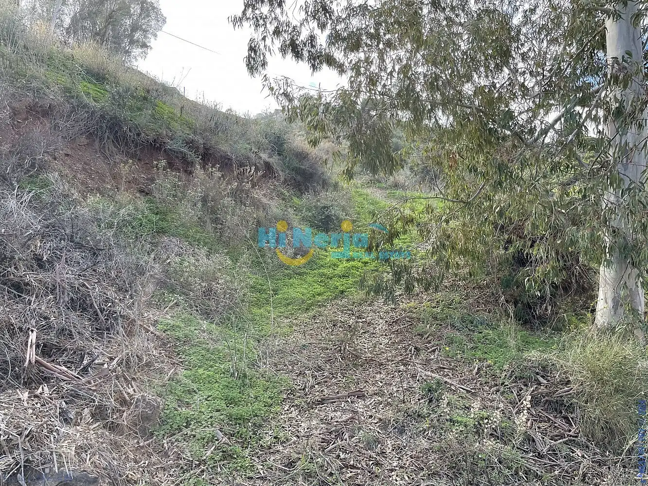 Terreni e lotti in vendita a Centro, imagen 11