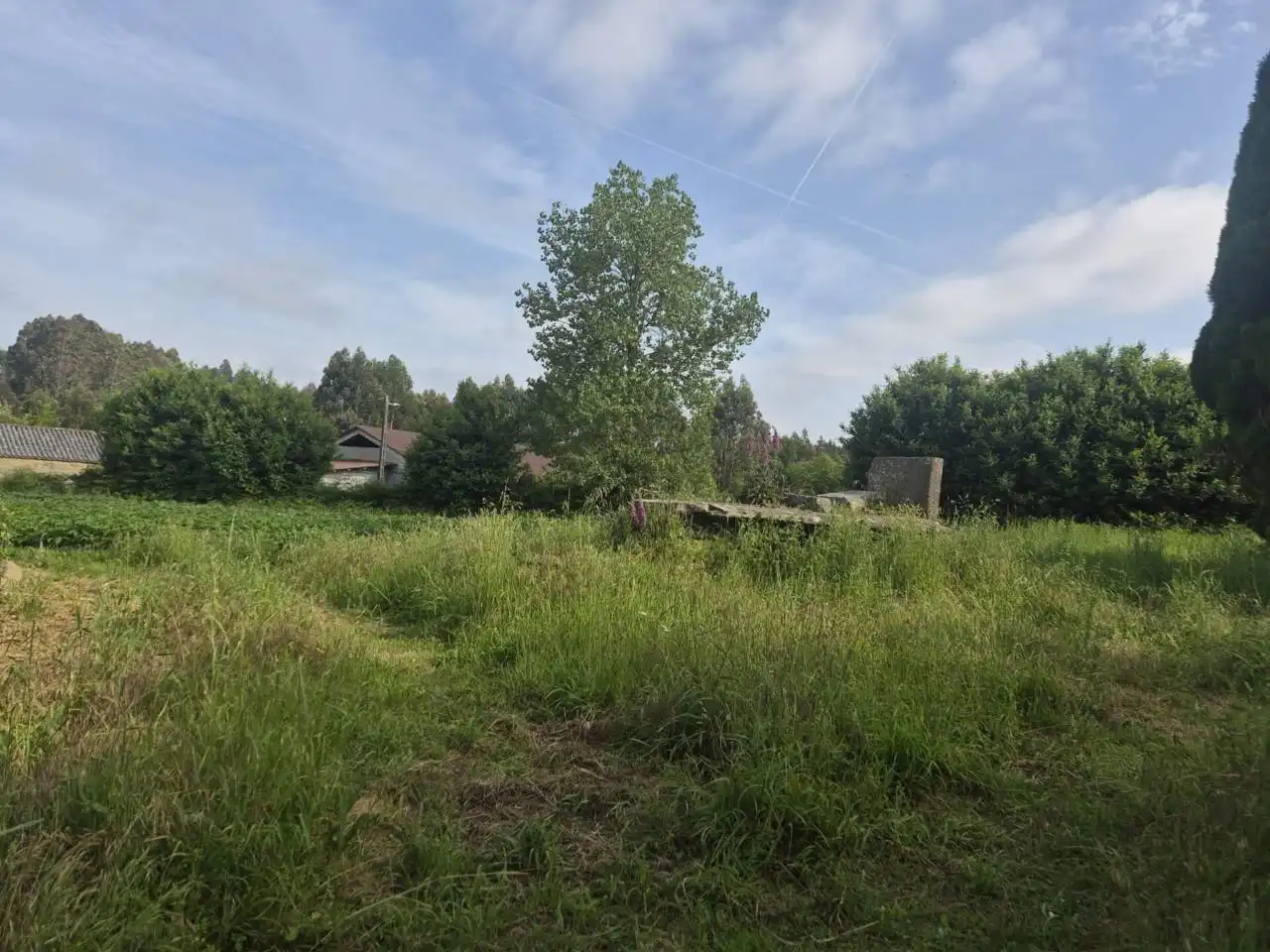 Casa o chalet en venta en Aranga