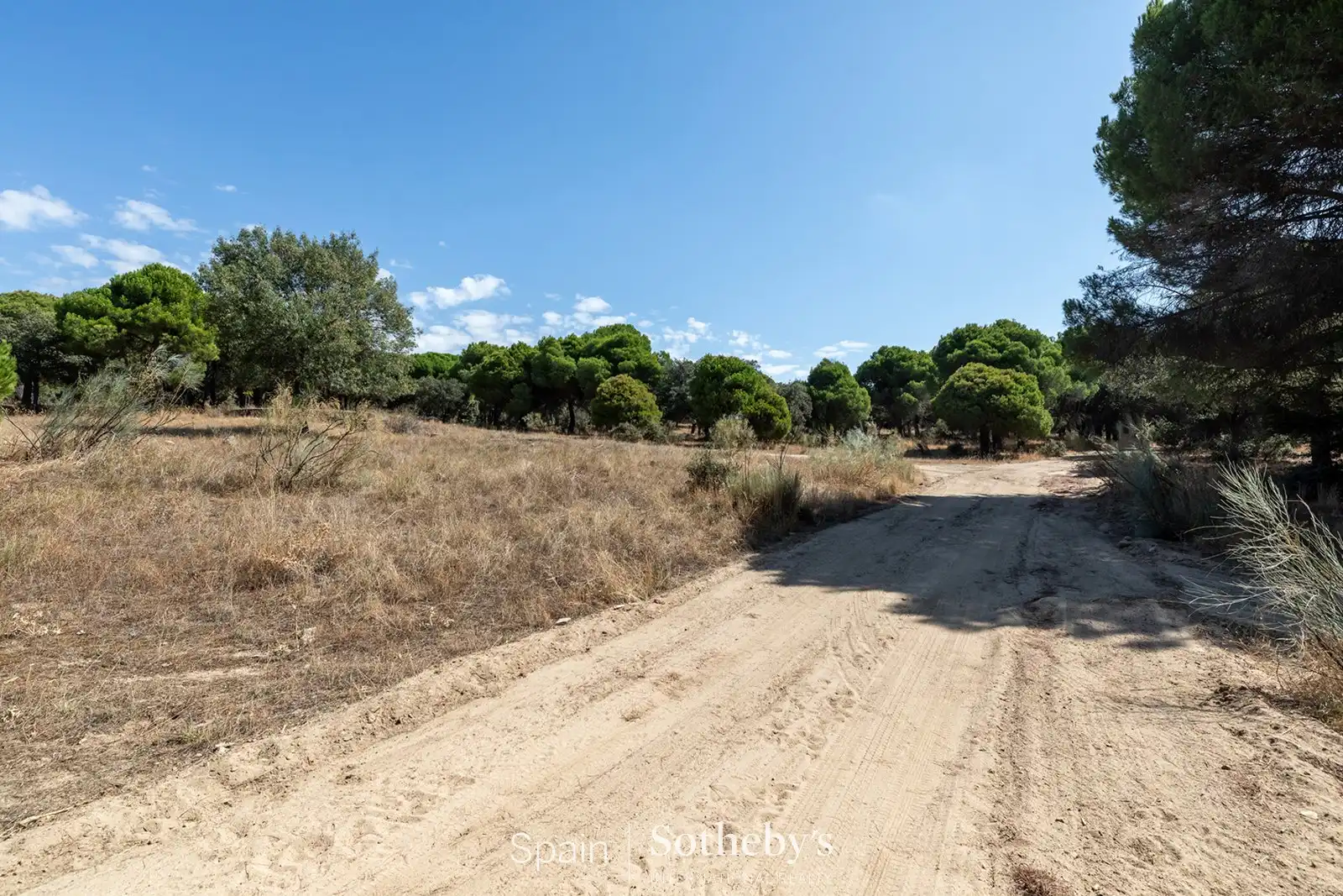 Wohnbaugrundstück zum Verkauf in Deportivo Galapagar - Los Almendros, imagen 11
