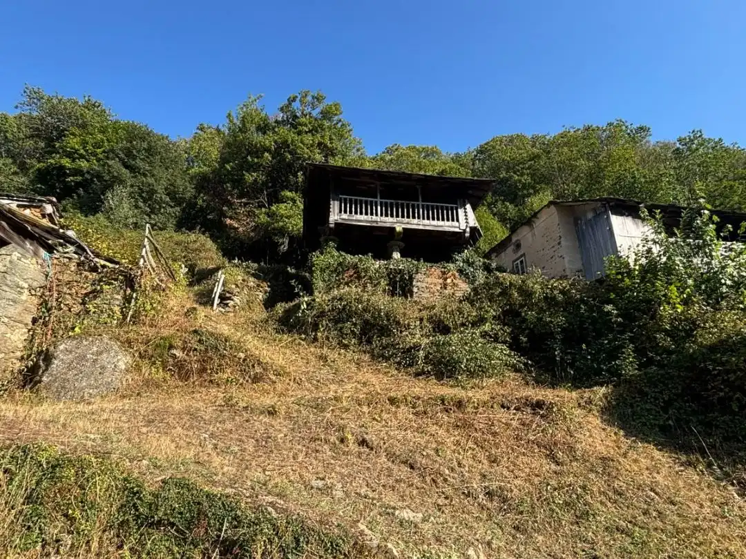 Houses for sale in Allande, Asturias