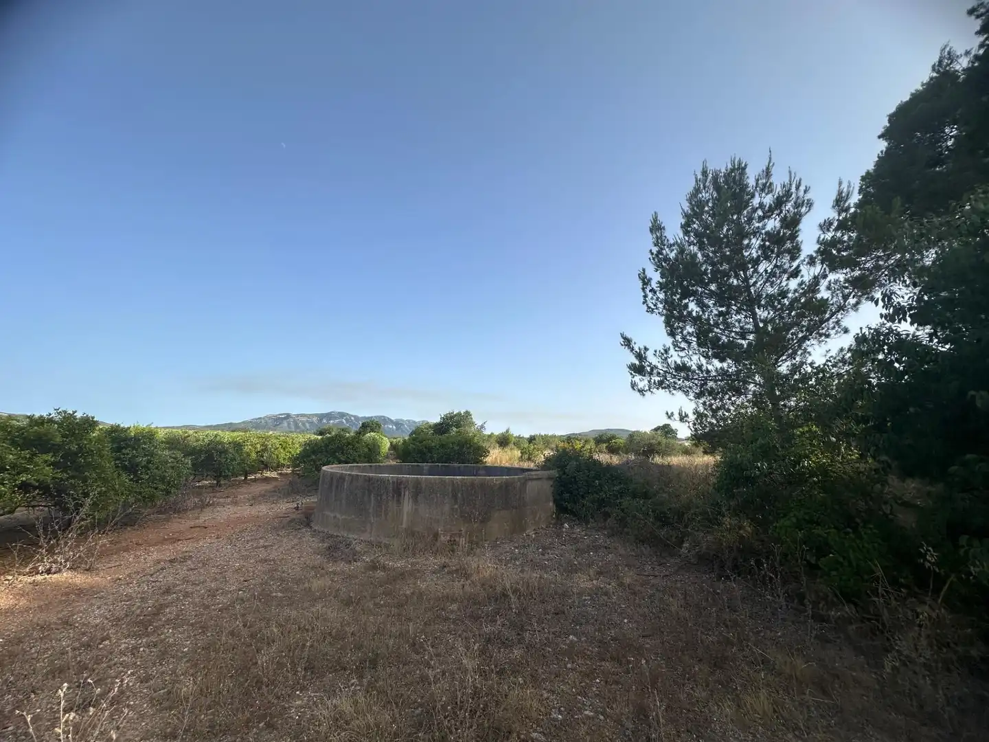 Rural land for sale in Masdenverge, imagen 21