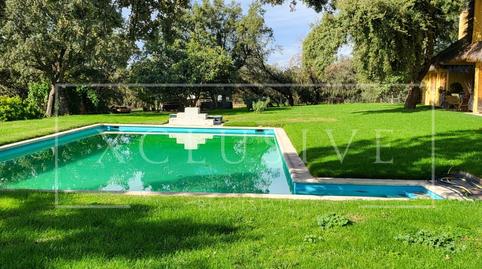 Foto 5 de Finca rústica de lloguer a N/a, Las Vegas - El Pozanco - Adelfillas, Madrid