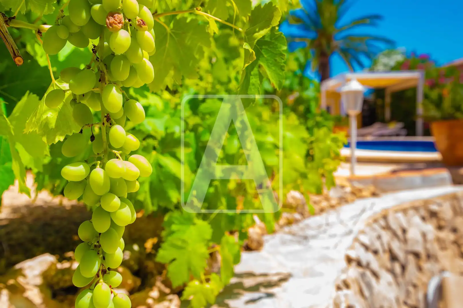 Chalet con piscina en venta en Cometa, imagen 52