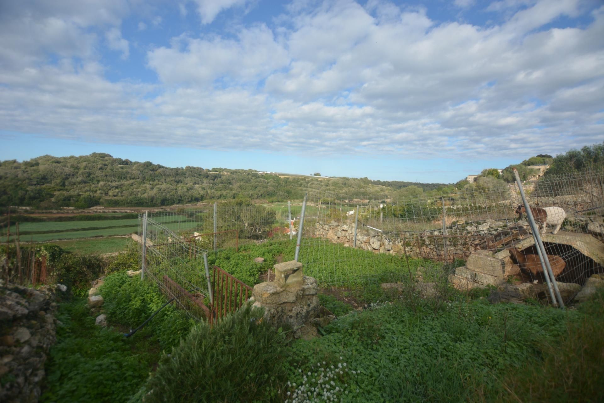 Land for sale in Es Migjorn Gran