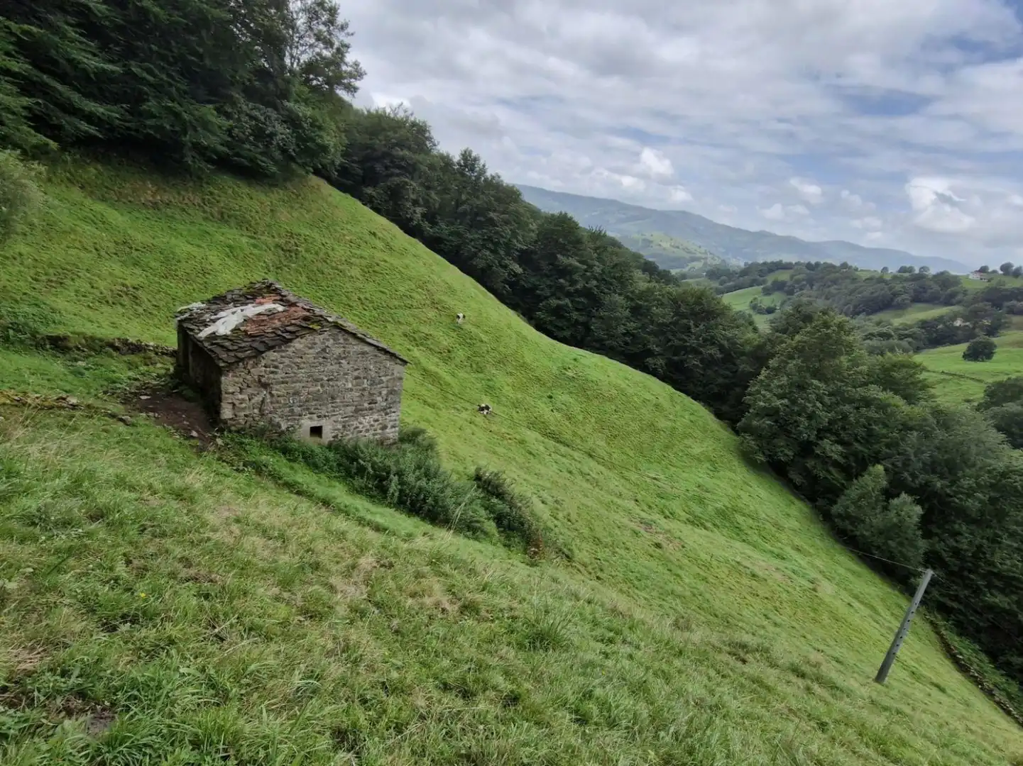 Terreno en venta en Selaya