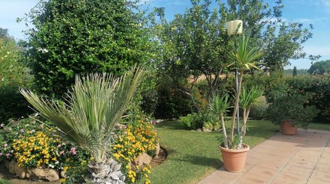 CHALET CON PISCINA Y JARDIN EN EL ARRECIFE, LA CARLOTA