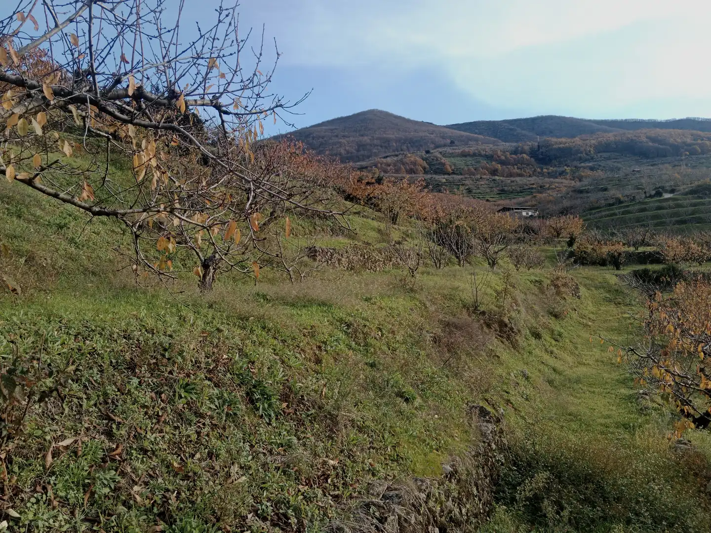 Terreni e lotti in vendita a Navaconcejo, imagen 10