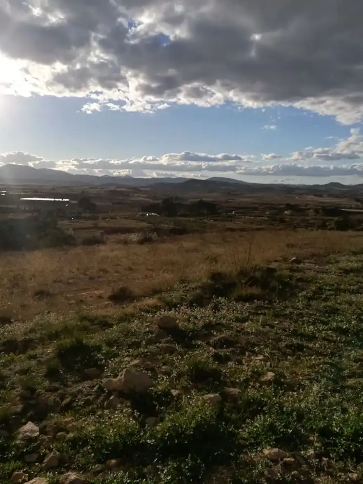 Grundstücke und Bauplätze zum Verkauf in Avenida Río Pliego, imagen 2