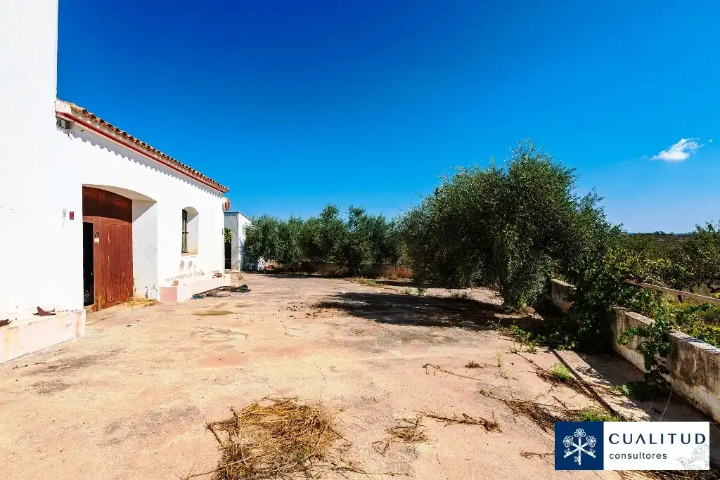 Terreny rústic en venda a Vall d'Alba, imagen 19