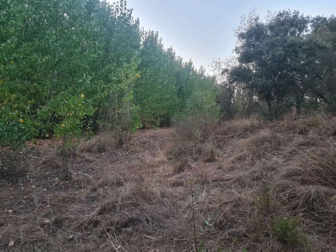 Terreni e lotti in vendita a Escalona, imagen 19