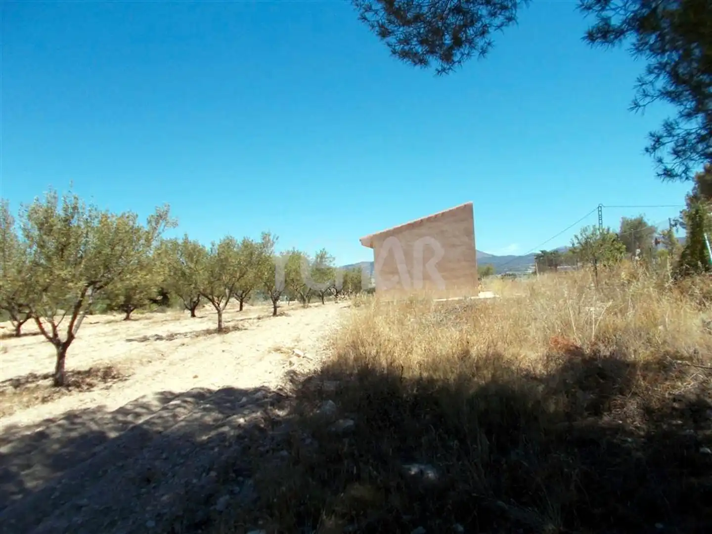 Terreny rústic en venda a Castalla