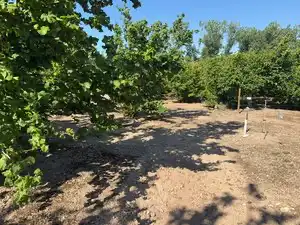 Terreno rustico in vendita a Avinguda de Reus 10, imagen 14