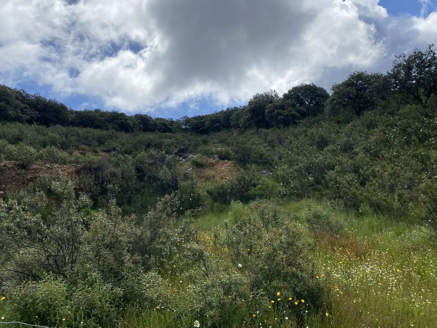 Terreno en venta en Deleitosa