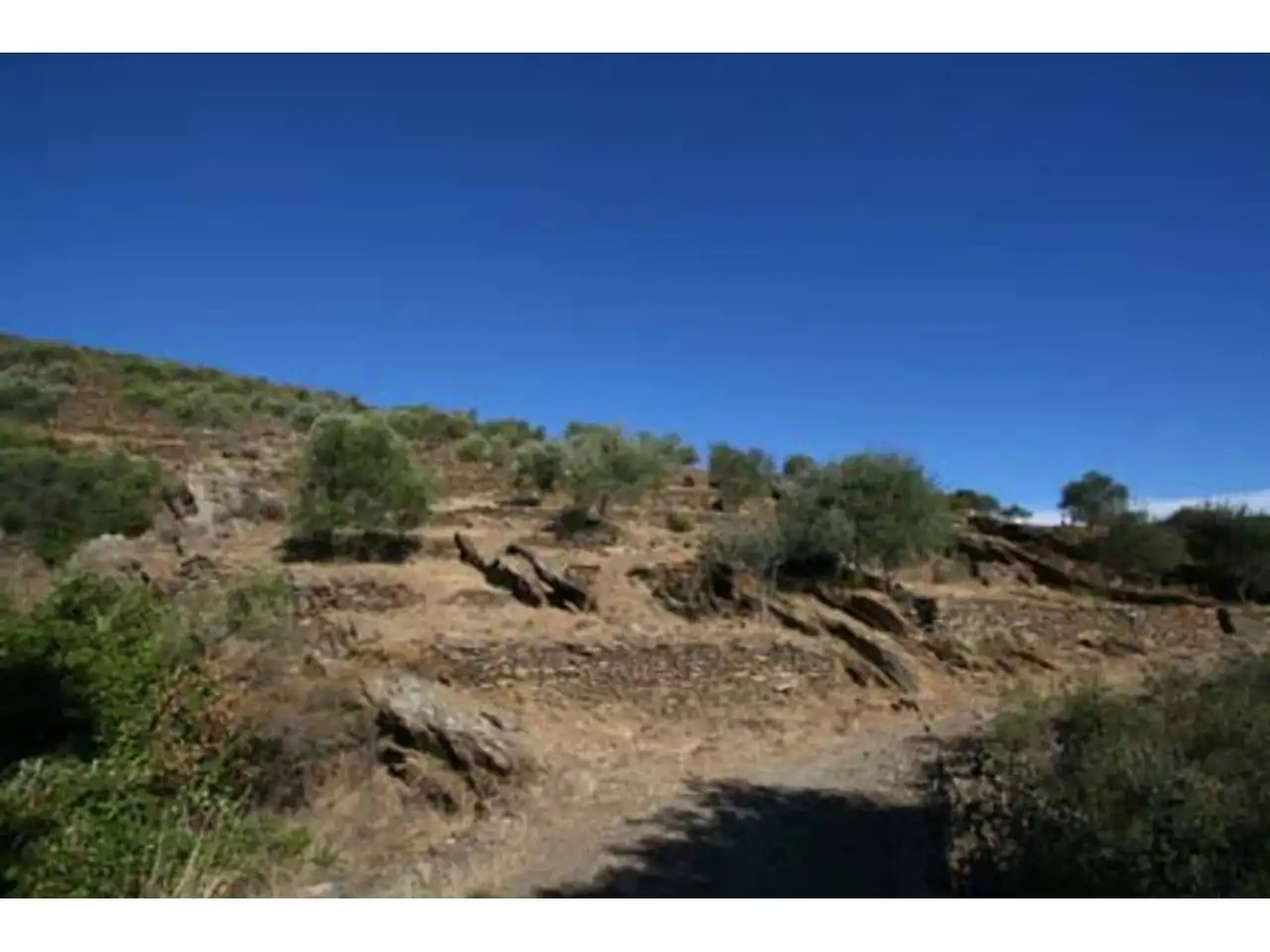 Rural land for sale in Mas de la Senyora, imagen 14