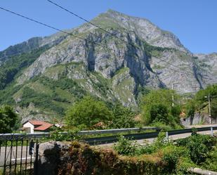 Vista exterior de Casa o xalet en venda en Oseja de Sajambre amb Piscina