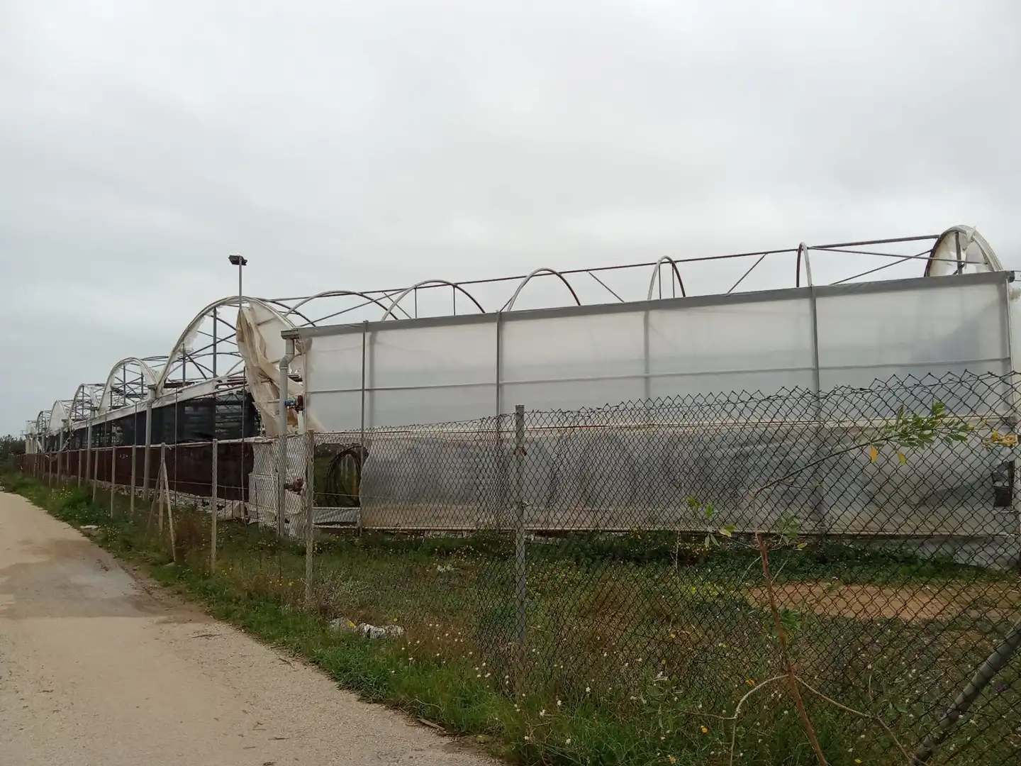 Terreno rustico in vendita a ALCALDE BALDOMERO SN, imagen 5