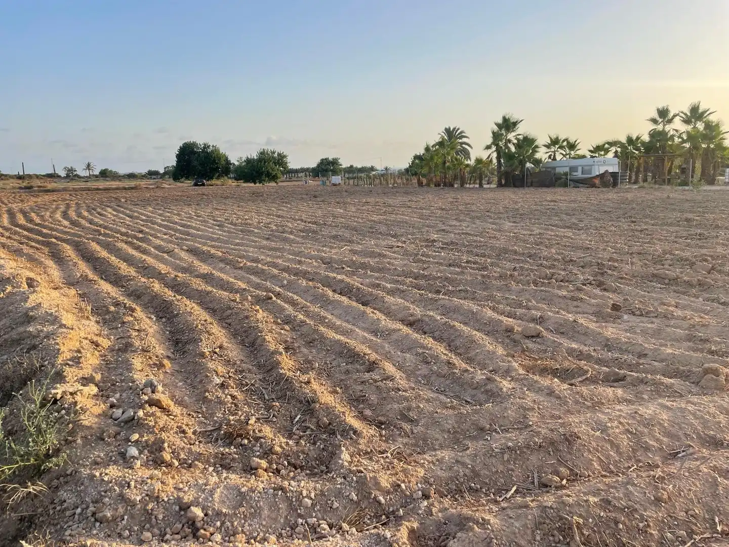 Terrain rustique à vendre à La Foia - Daimés - Asprella, imagen 6