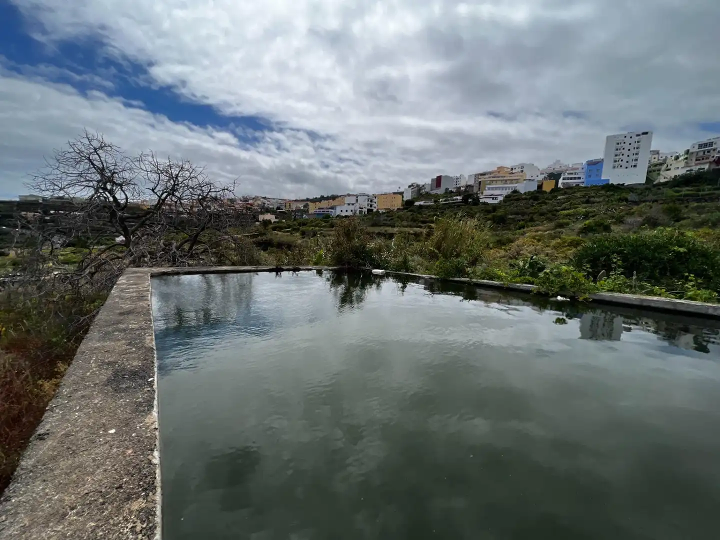 Piscina de Residencial en venda en Icod de los Vinos