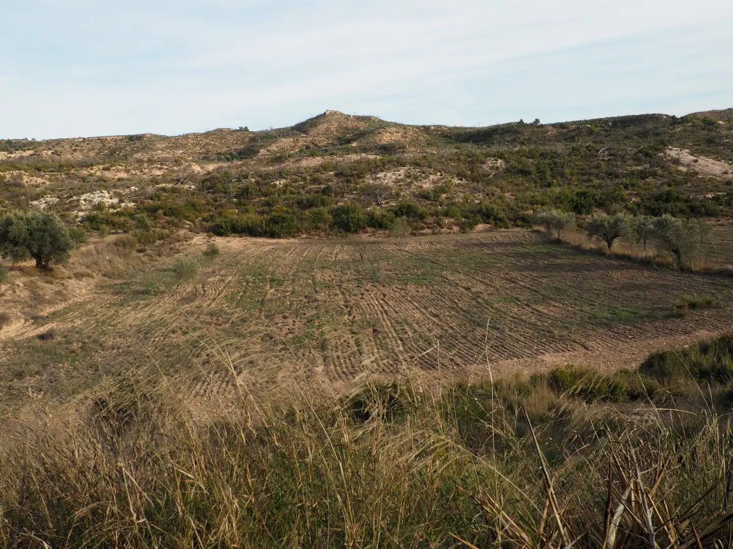 Terreno en venta en Flix