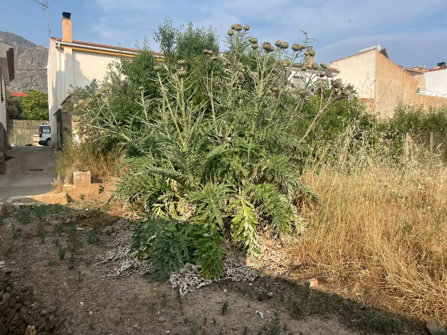 Rural land for sale in Calle Verano, imagen 3