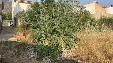 FINCA RUSTICA EN DURCAL, immagine 3