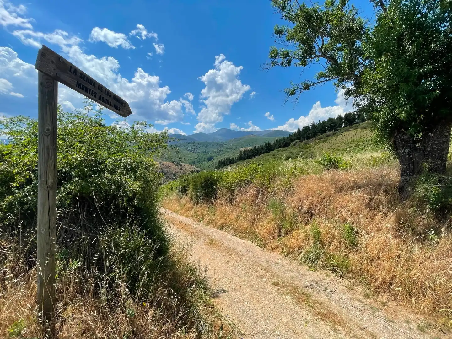 Finca rústica en venda en Ponferrada