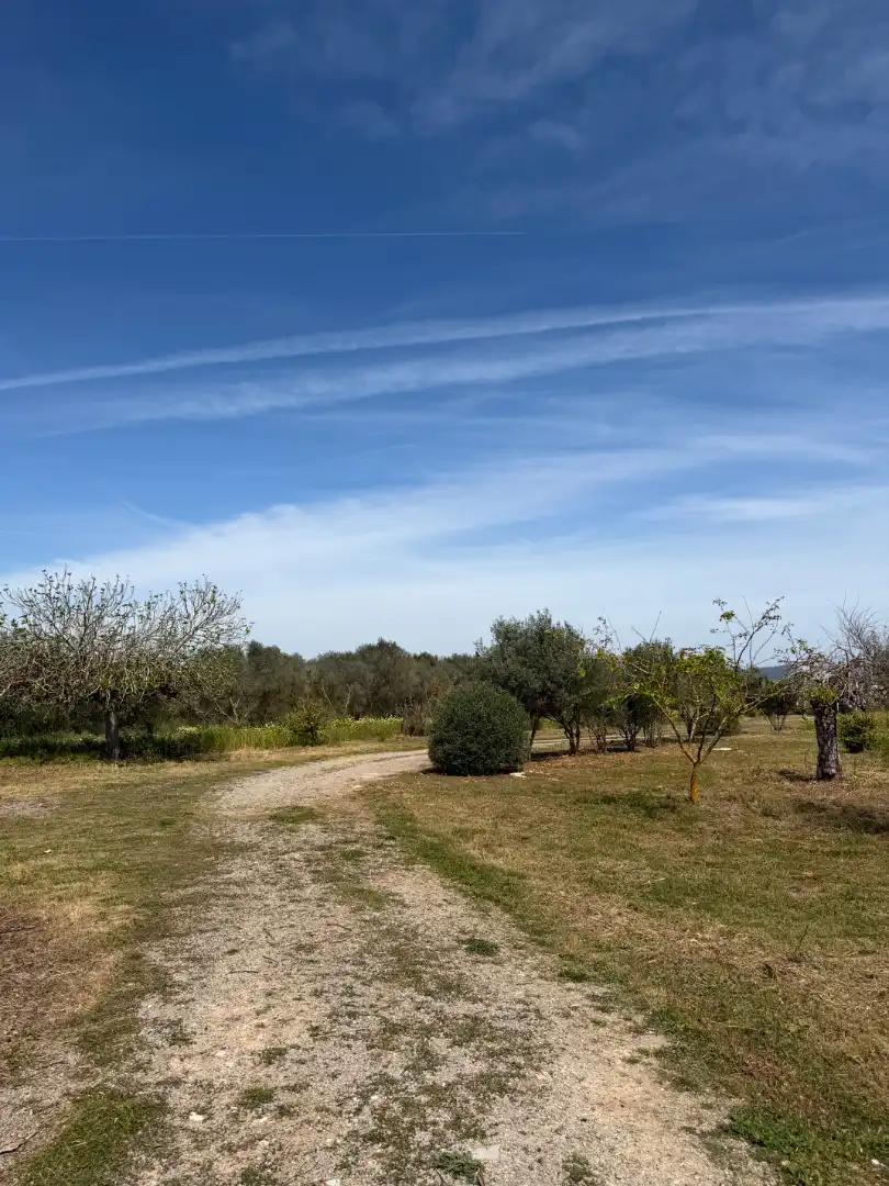 Finca rústica de alquiler en Manacor con Aire acondicionado, Calefacción y Jardín privado