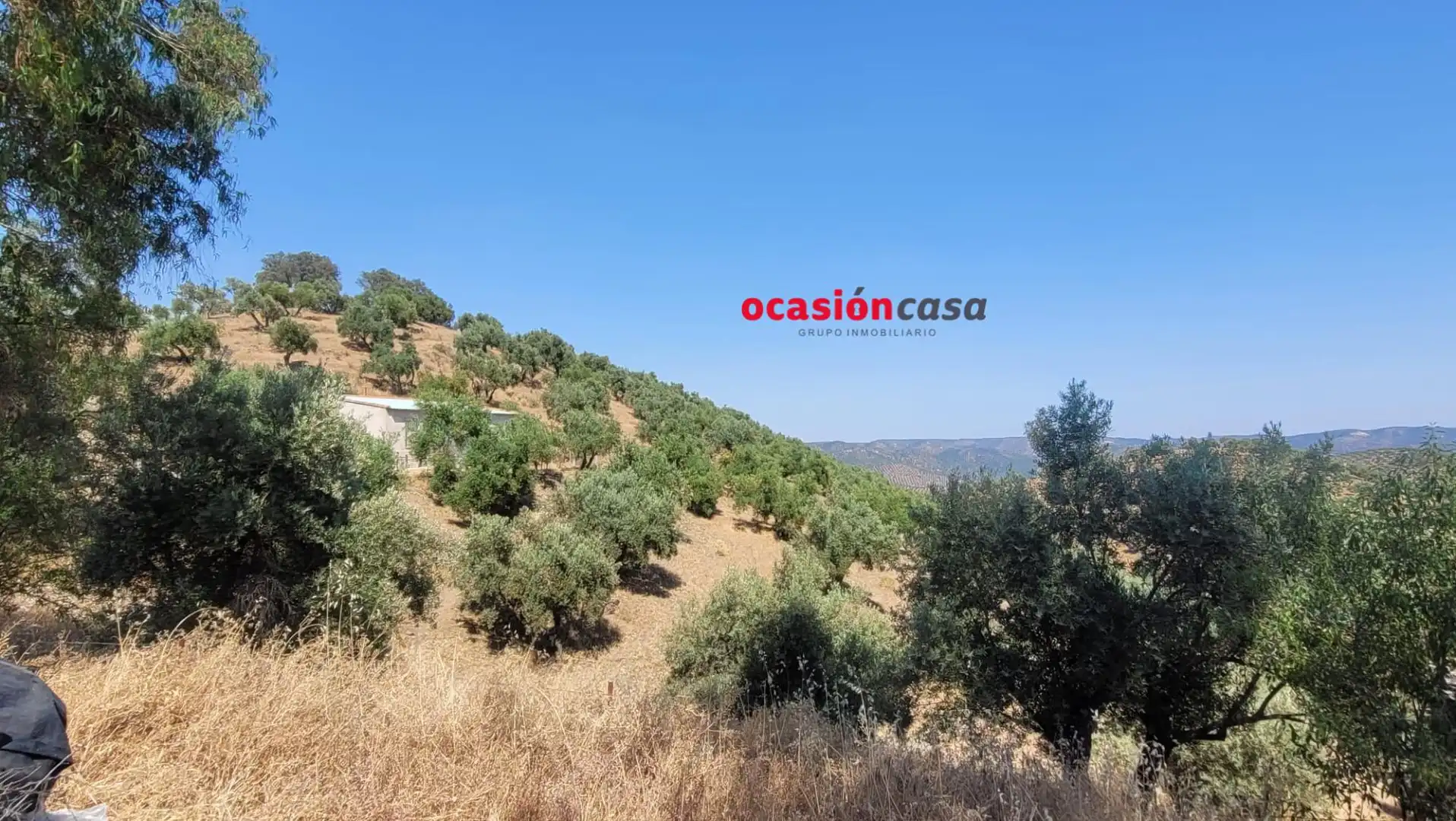 Finca rústica en venda en Pozoblanco amb Traster