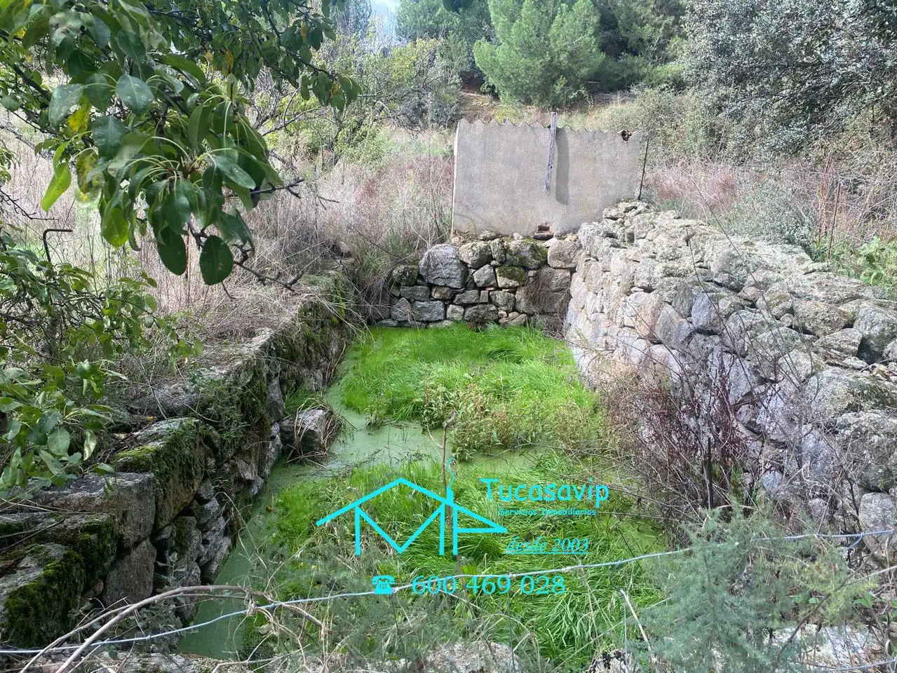 Terreni e lotti in vendita a Cebreros, imagen 8