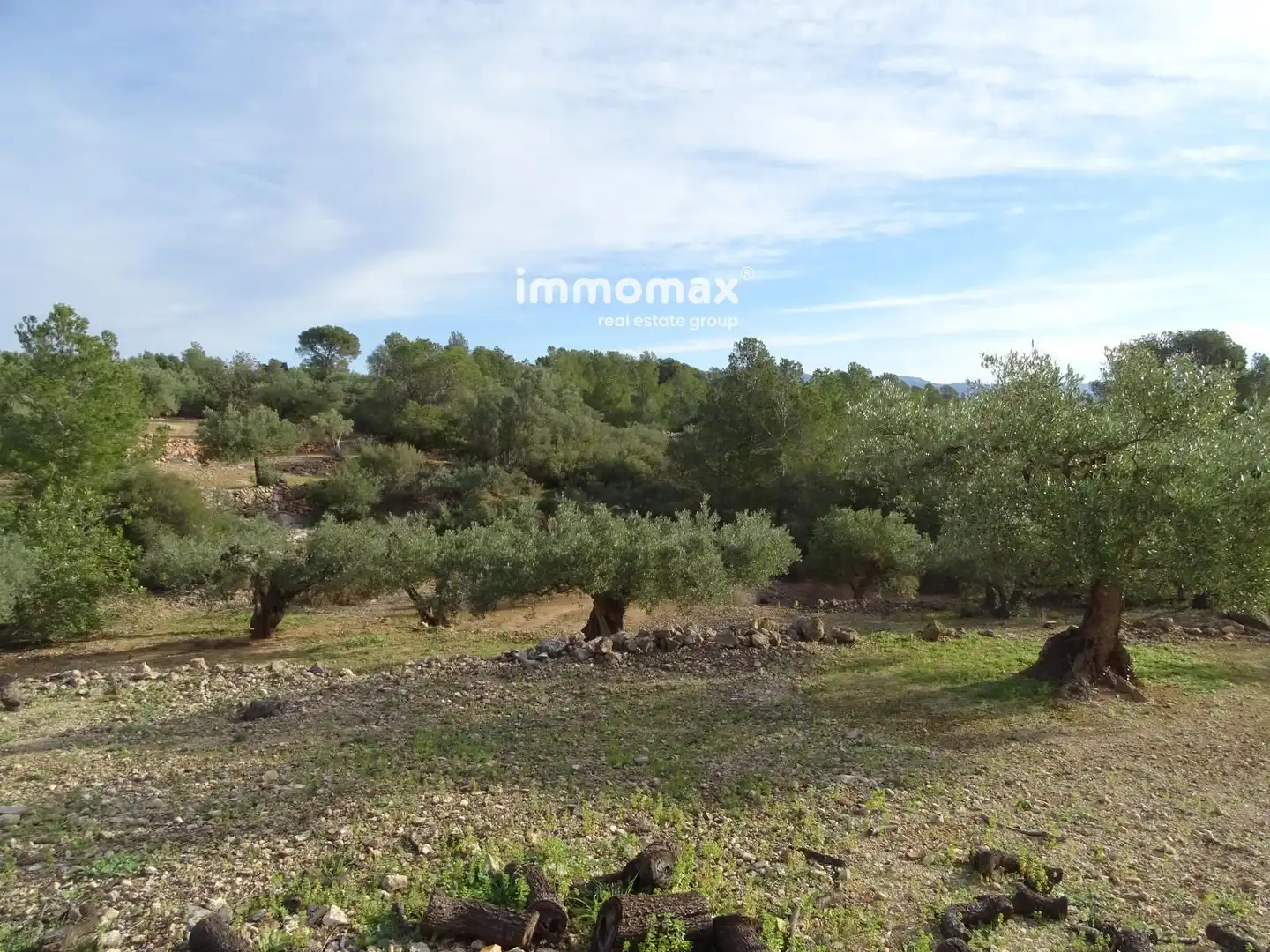 Terrain résidentiel à vendre à 16, imagen 7