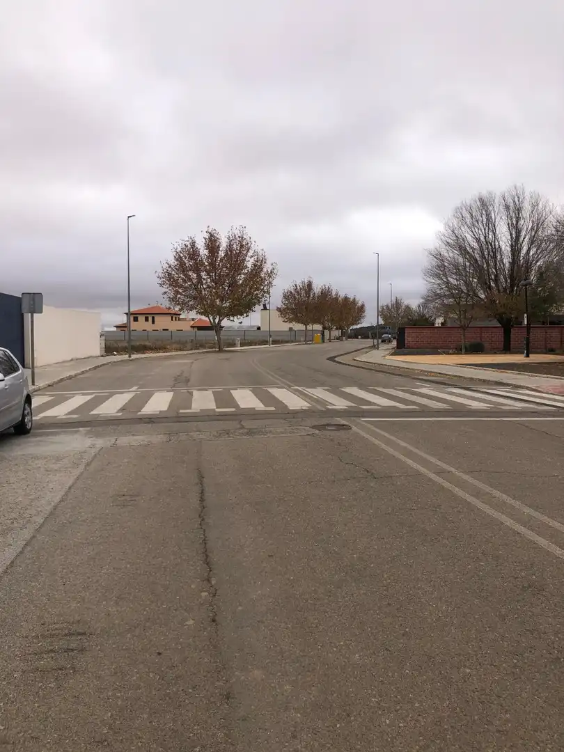 Terrenos y solares en venta en Carrión de Calatrava