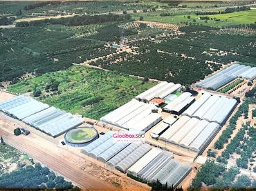 Terrenys i solars en venda a Camino Riudoms 43