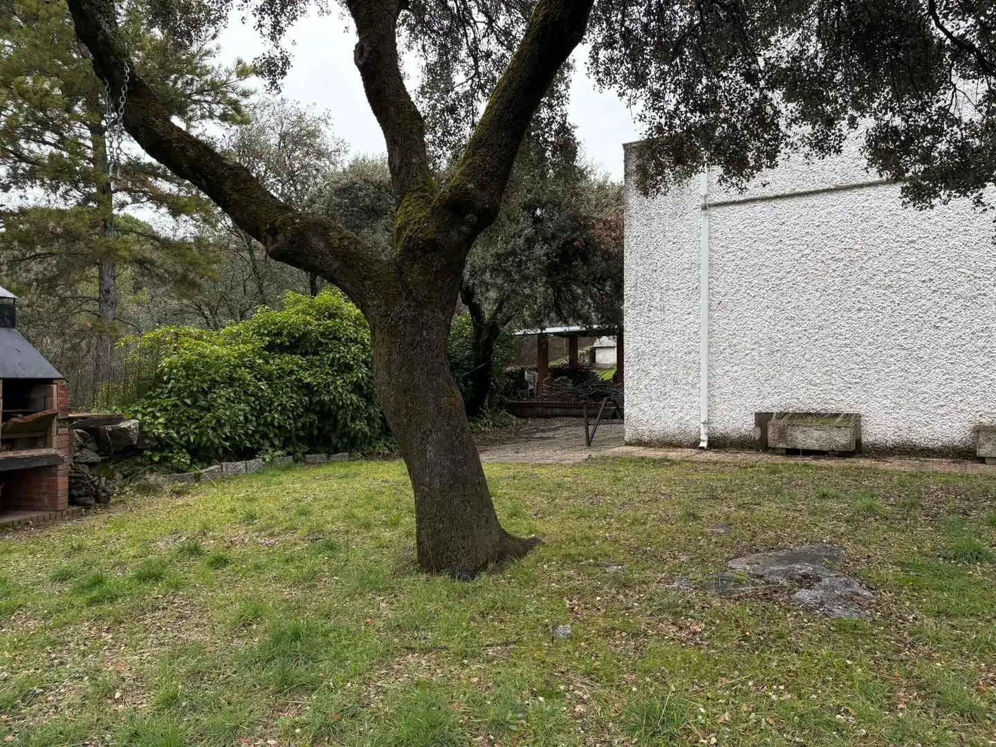 Jardín de Casa o chalet en venta en Collado Villalba con Calefacción, Jardín privado y Trastero