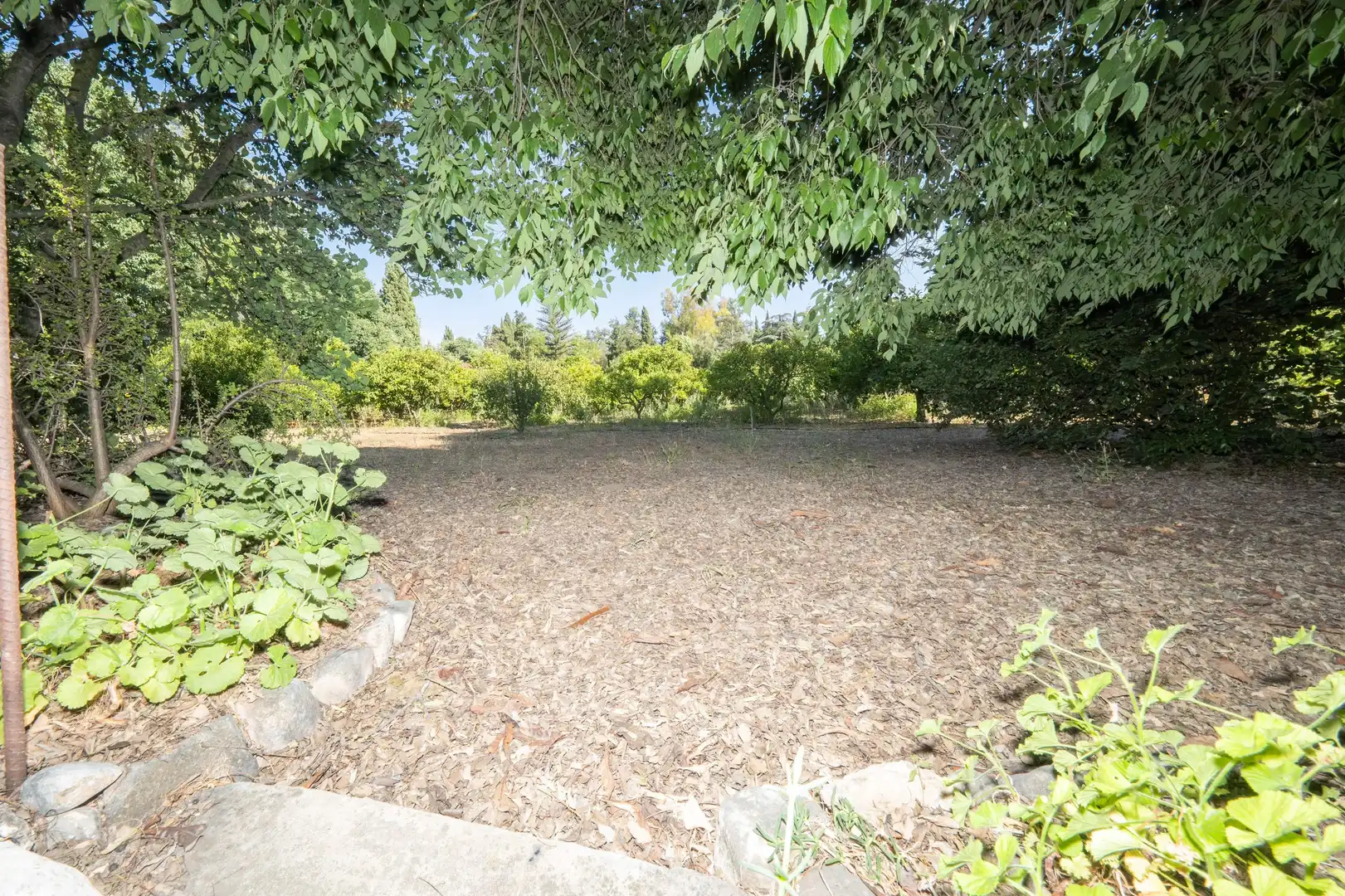 Villa mit Terrasse zum Verkauf in Centro, imagen 40