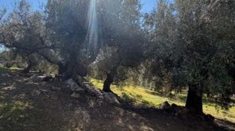 Immagine 2 dell'annuncio