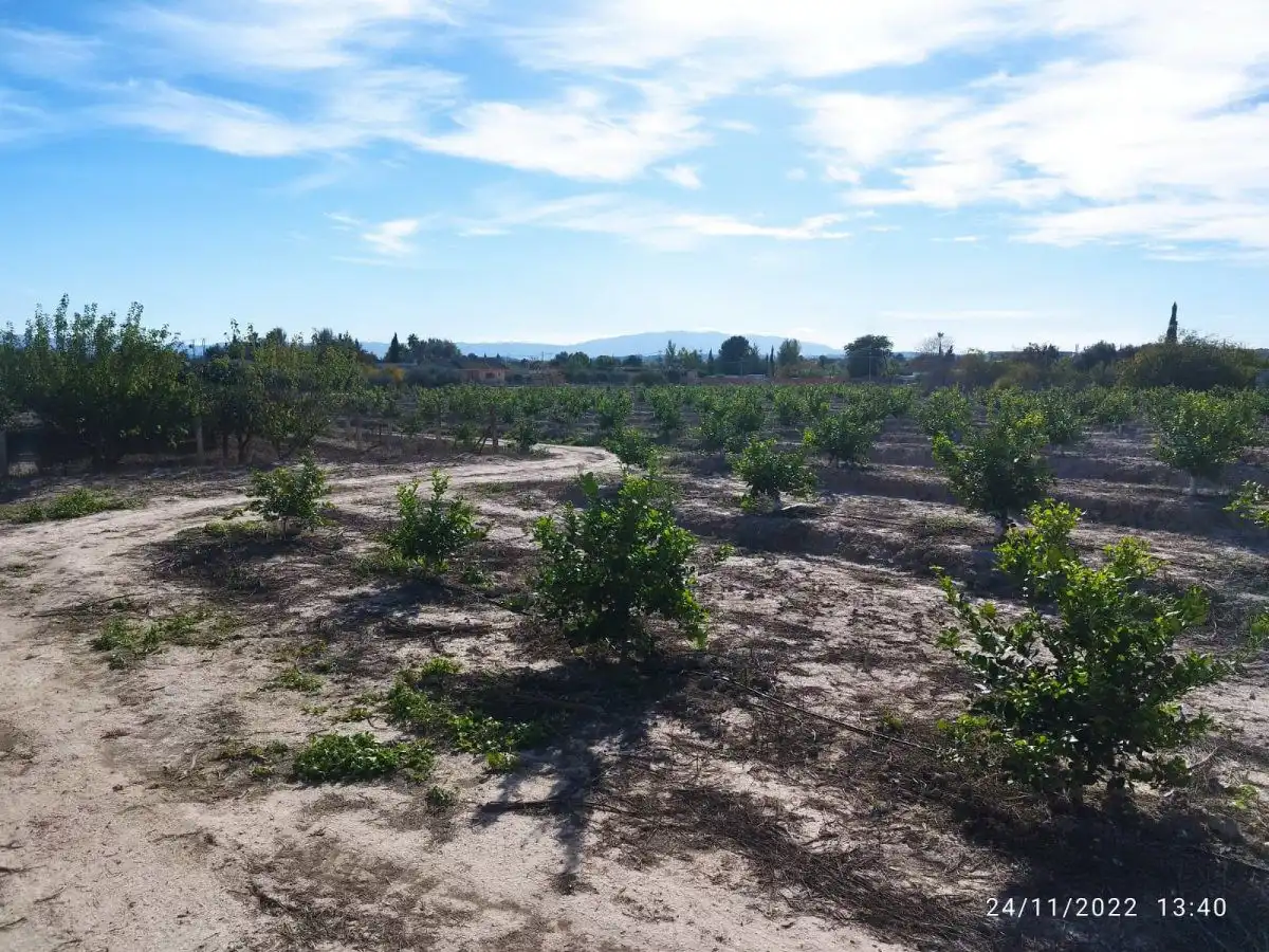 Terreny residencial en venda a El Llano, imagen 5