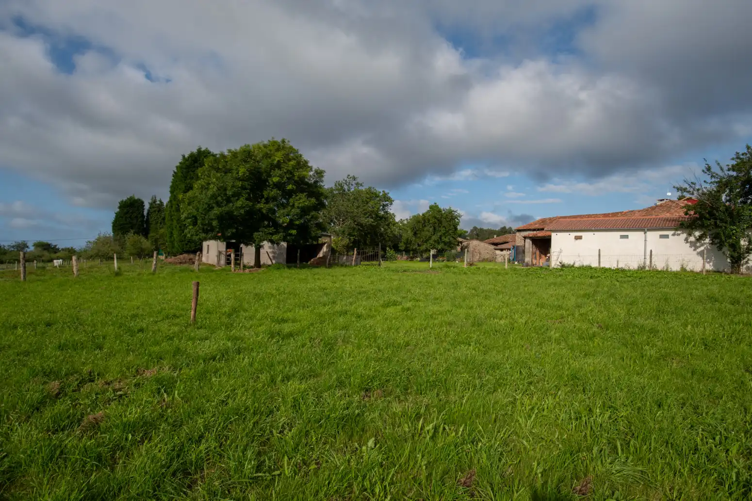 Residential land for sale in Poreño, imagen 5