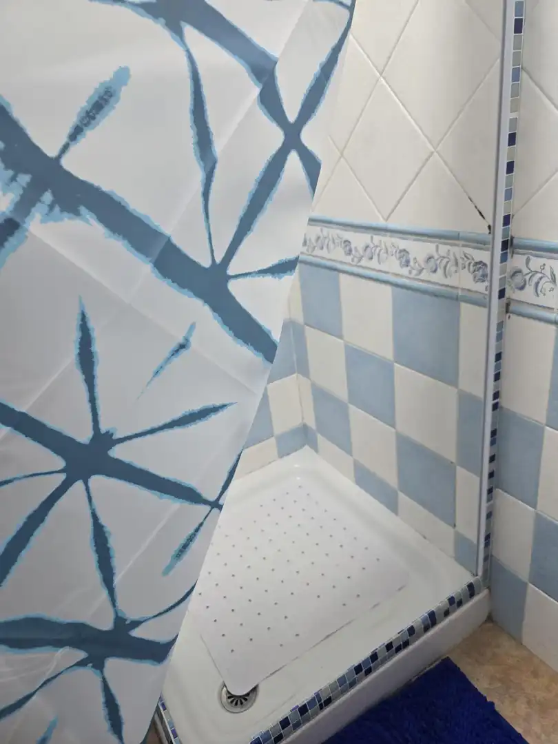 Baño de Casa o chalet en venta en Chiclana de la Frontera con Jardín privado