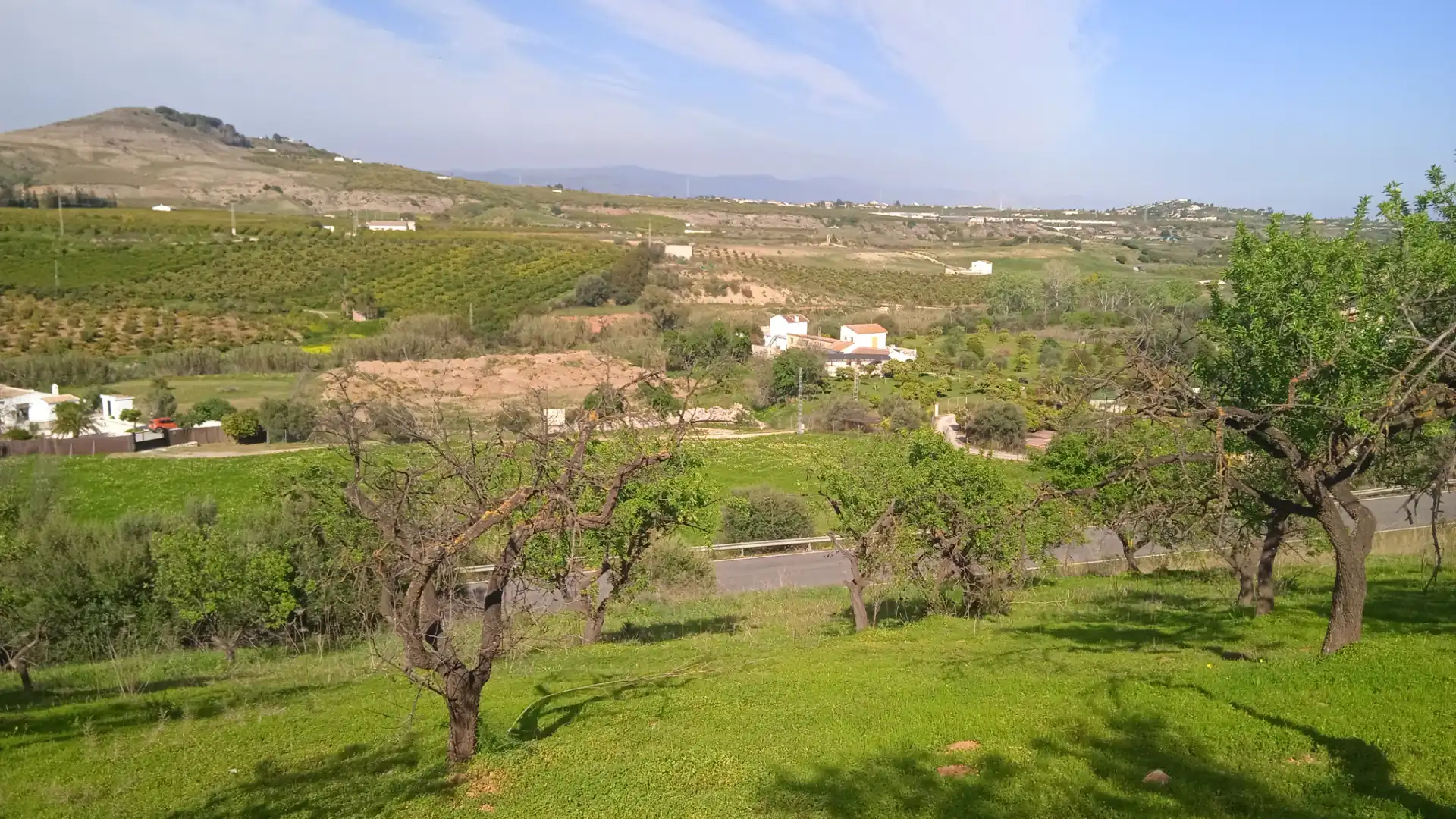 Rustikales Grundstück zum Verkauf in Camino Cuesta del Palmar 34, imagen 7