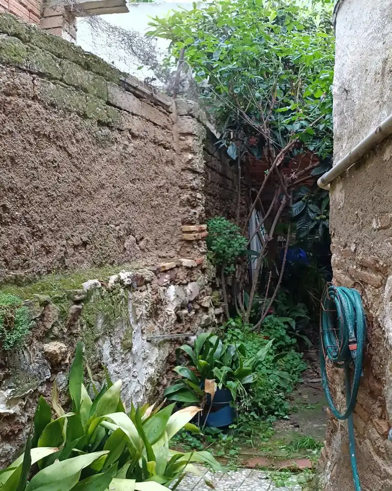 Jardí de Casa o xalet en venda en Sabiñán amb Jardí privat, Terrassa i Moblat
