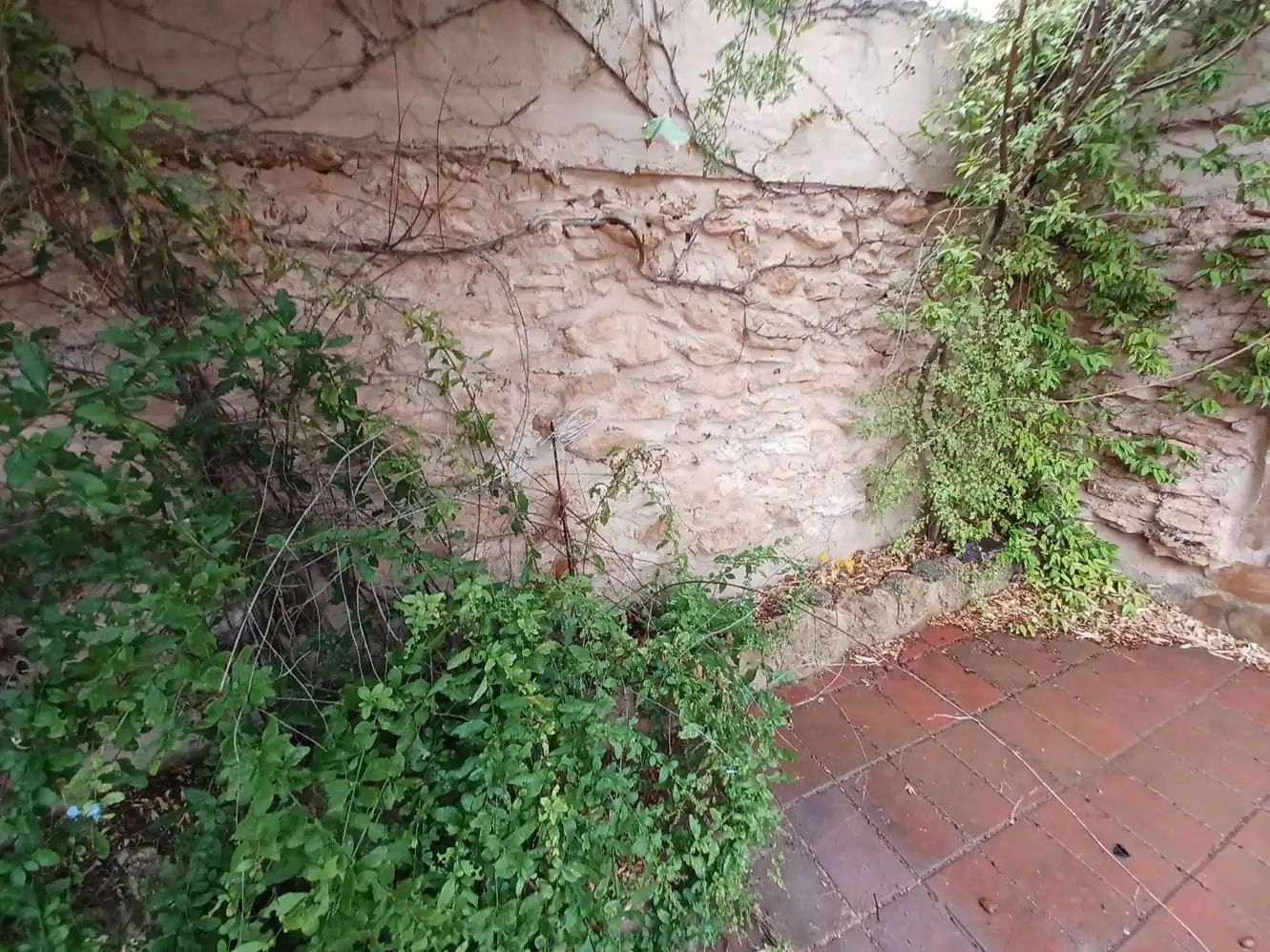 Casa rústica en venda a La Roda, imagen 16