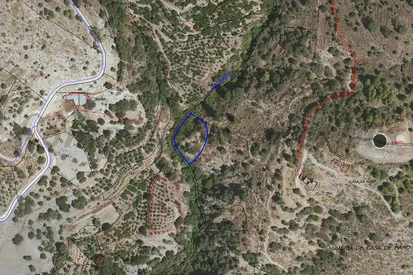 Terreno rustico in vendita a Salares