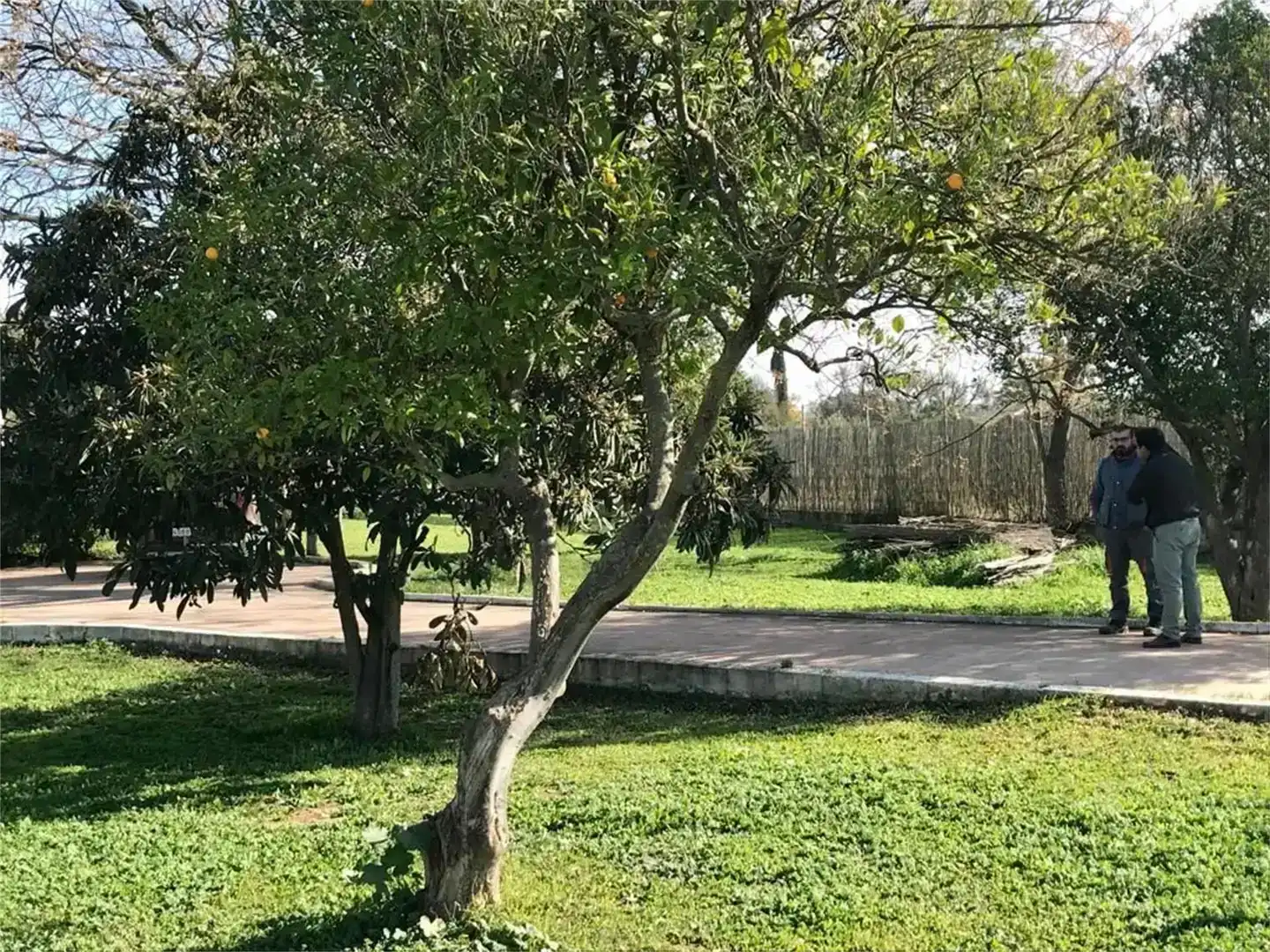 Pis en venda en Sanlúcar la Mayor, Sevilla