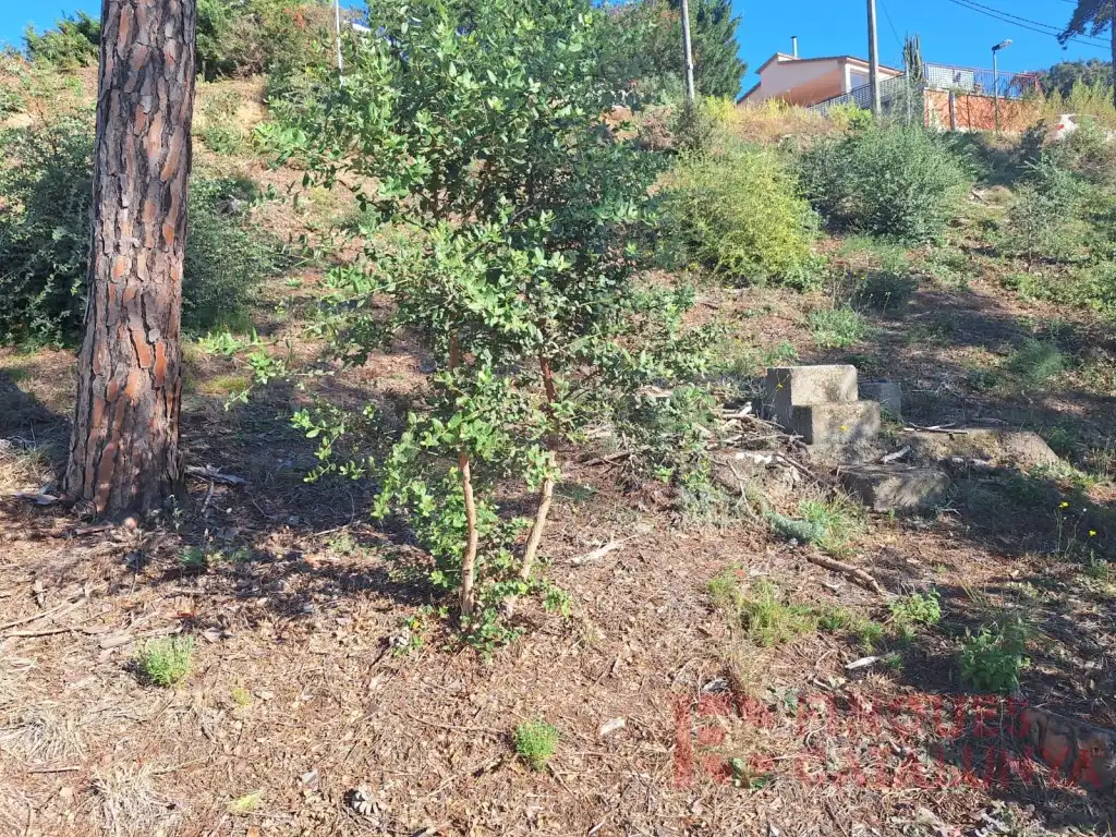 Terreny residencial en venda a Carrer del Puig Colomer, imagen 8