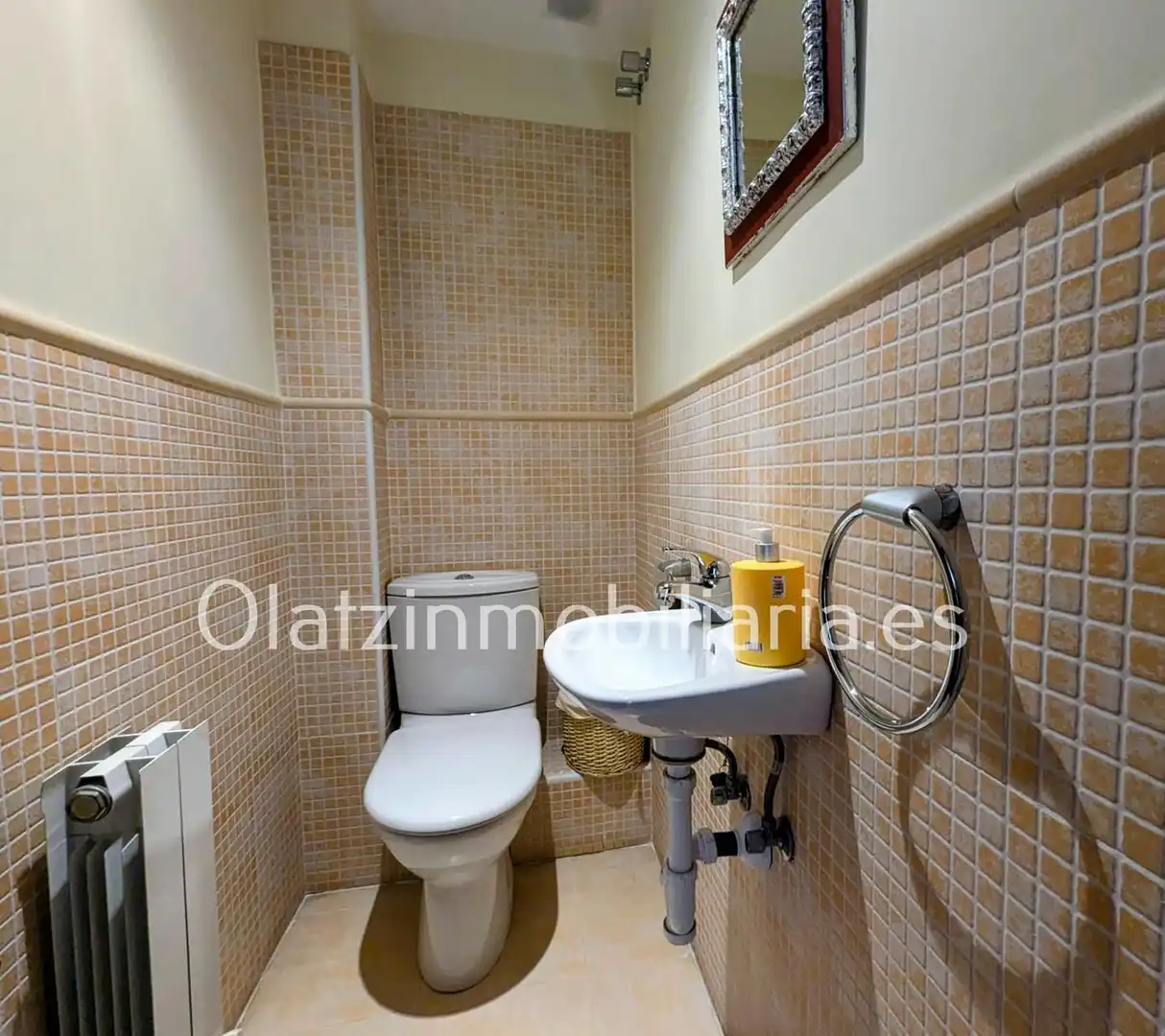 Bathroom of Houses for sale in Artziniega  with Heating, Private garden and Terrace