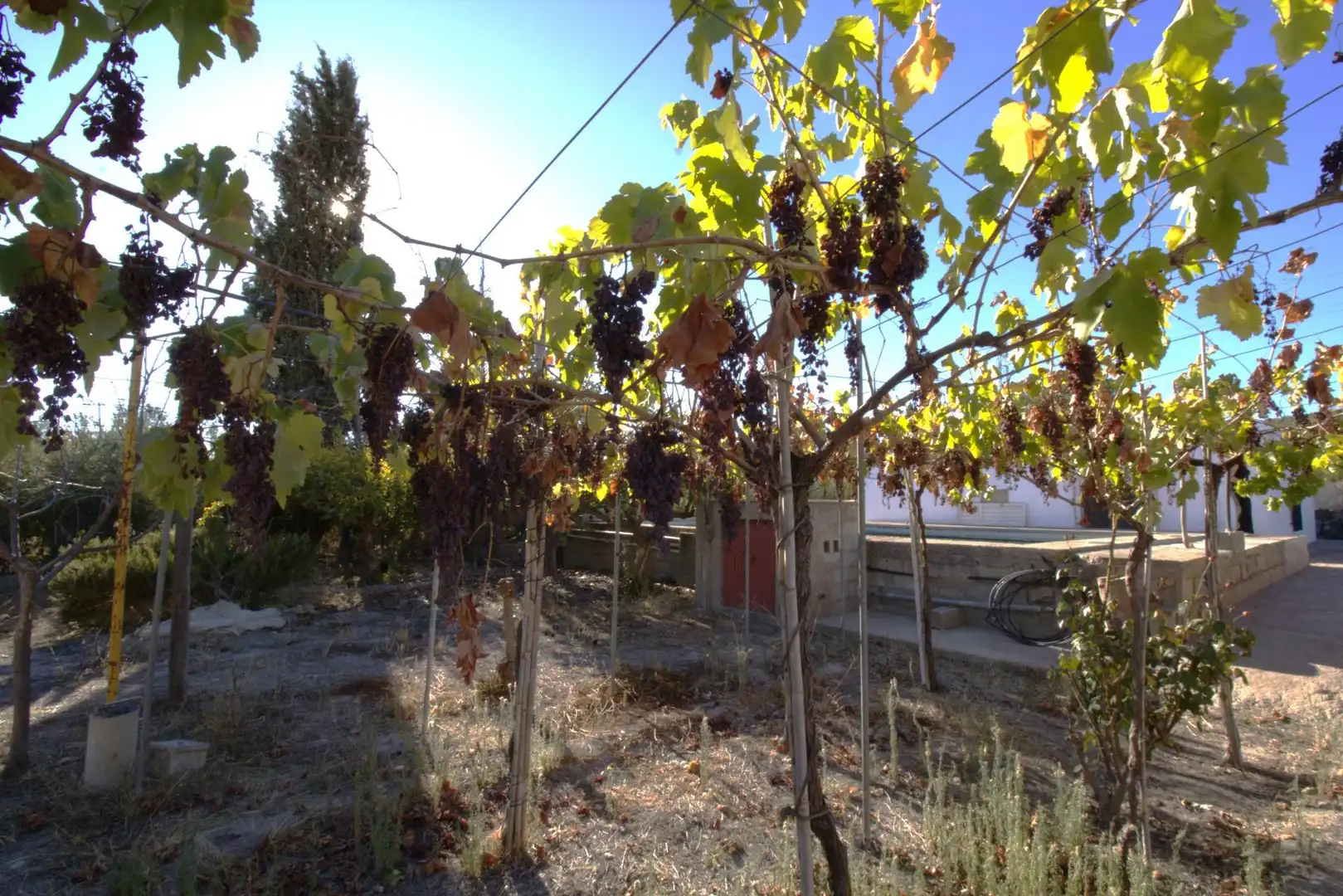 Garten von Country house zum Verkauf in Alhama de Almería mit Privatgarten, Terrasse und Schwimmbad